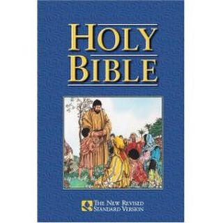 Holy Bible: New Revised Standard Version (NRSV), Children's Bible