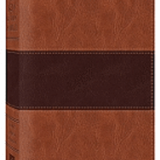KJV Study Bible Brown Imitation Leather