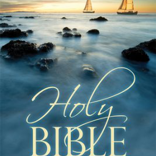 NIV Larger Print Bible Paperback