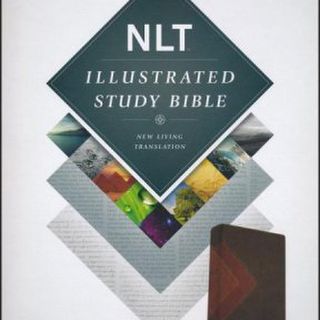 Illustrated NLT Study Bible Leatherlike Brown Tan