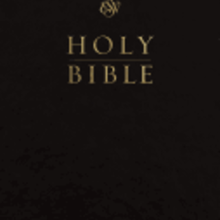 ESV Pew and Worship Bible, Large Print (Black)