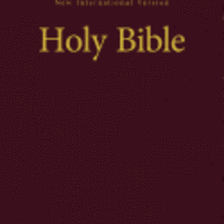 NIV, Value Pew and Worship Bible, Hardcover, Burgundy (Special)