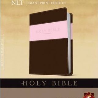 NLT Giant Print Bible Imitation Leather