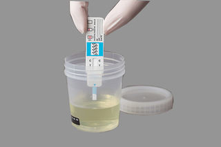 Onsite Drug Testing 