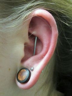 12 gauge conch to conch