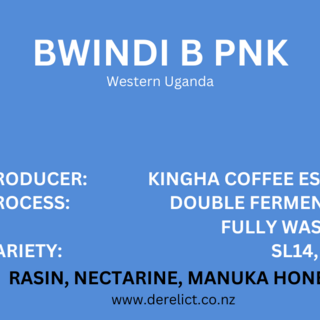 Bwindi B PNK - Uganda