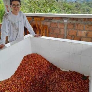 Eduardo Armero - Colombia, Pink Bourbon, Anaerobic Natural