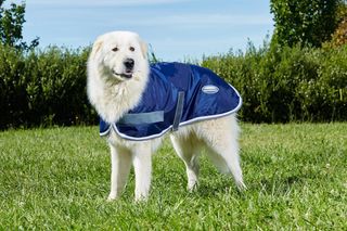 WeatherBeeta ComFitec Windbreaker 420d Dog Coat