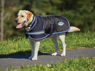 WeatherBeeta ComFitec Parka 1680d Dog Coat