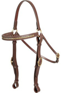 Aintree Barcoo Ranger Head Bridle