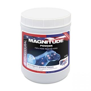 Magnitude Magnesium powder 1kg