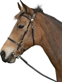 Cavallino Inhand Bridle with Lead