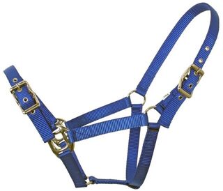 Flair Heavy Duty Nylon Web Collar