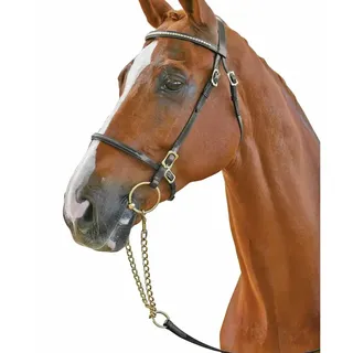 Collegiate Clincher Browband In-Hand Bridle