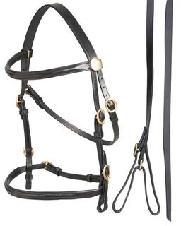 Aintree In Hand Bridle with Lead