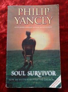 Soul Survivor - how my faith survived the church