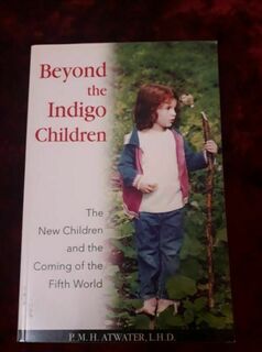 Beyond the Indigo Children - the new children of the coming 5th world