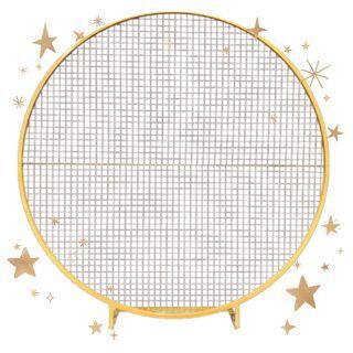 Round Mesh Frame - Gold