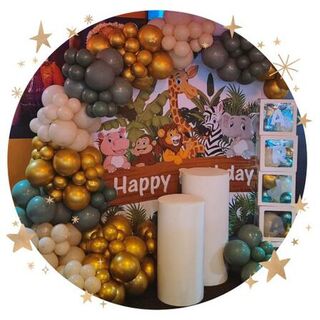 Themed Backdrop & Garland - Extra