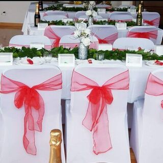 Organza Chair Sash