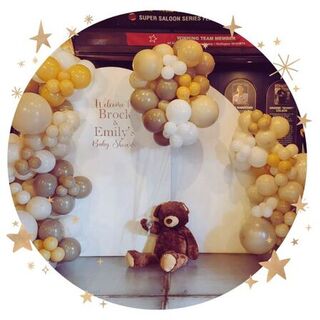 Teddy Bear Bash Backdrop