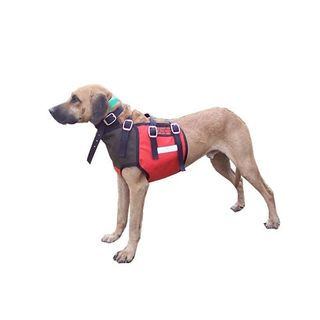 Protective Dog Vests