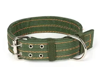 Canvas Dog Collar - Olive