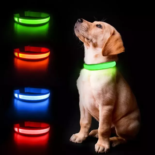 LED Safety Collar