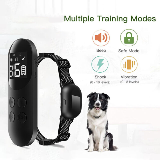300m Remote Training Collar TWO DOGS