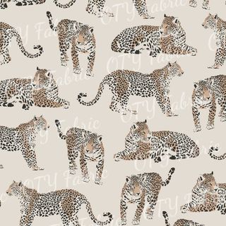 Plain leopards