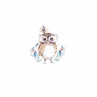 Boho Owl Panel