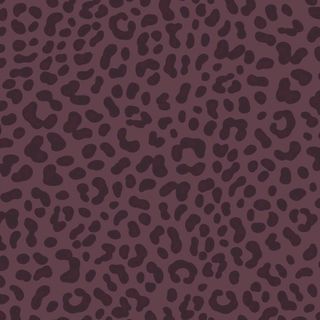 Fig Leopard spots 