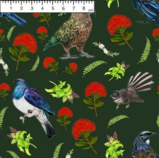 Native birds NZ - Exclusive 