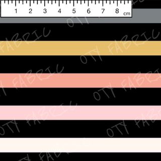 Little rainbow on black stripes  (exclusive print)