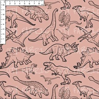 Linedrawn dinos on rose