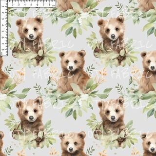 Brown bear cub on grey - EXCLUSIVE OTY PRINT