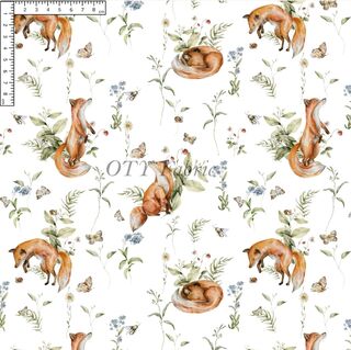 Woodland foxes on white