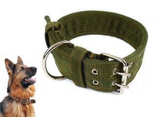 Heavy Duty Olive Canvas Dog Collar