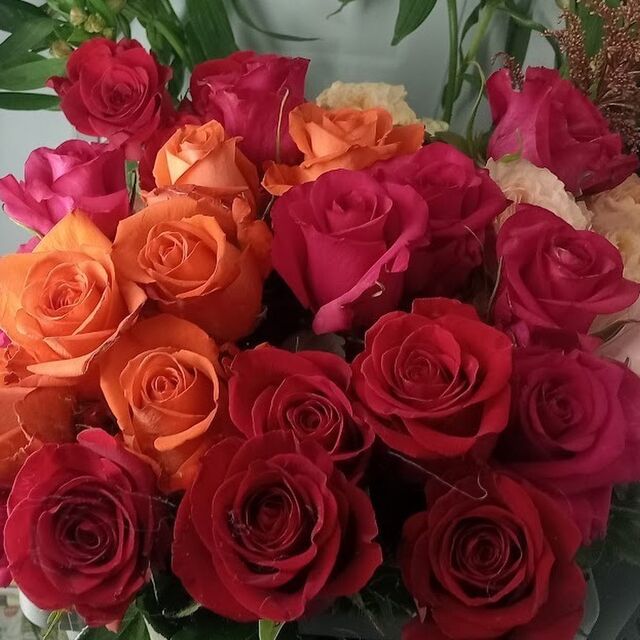 Columbian Roses