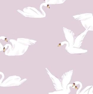 Lilac Swans