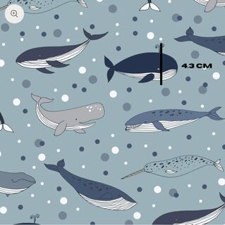 Whales