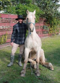 Dorito is my clinic horse, my teacher and one of my best friends. 