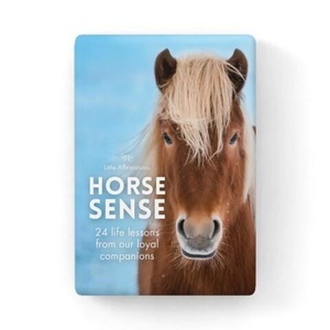 HORSE SENSE LITTLE AFF BOX