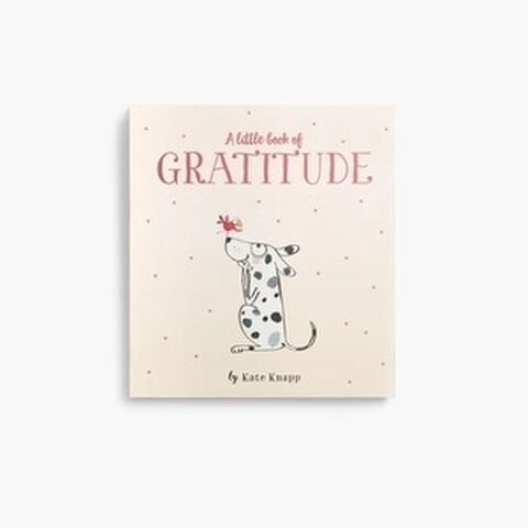 LITTLE BOOK OF GRATITUDE TWIG