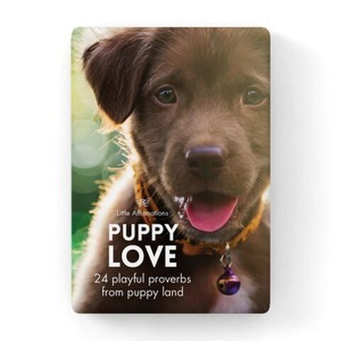 PUPPIES LITTLE AFF BOX