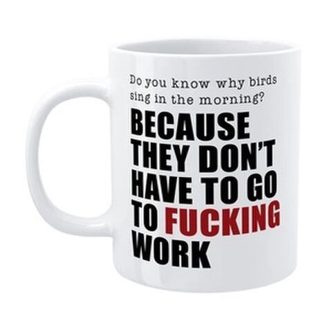 MUG WHY BIRDS SING