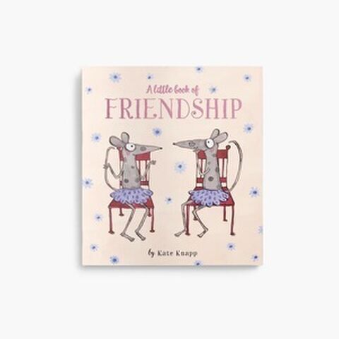 LITTLE BOOK OF FRIENDSHIP