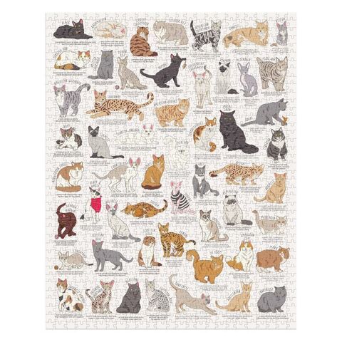 JIGSAW CAT LOVERS 1000 PC Ridley's