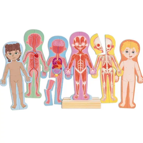 MAGNETIC PUZZLE HUMAN BODY