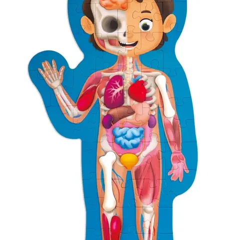 PUZZLE HUMAN BODY 50pc HAPE
